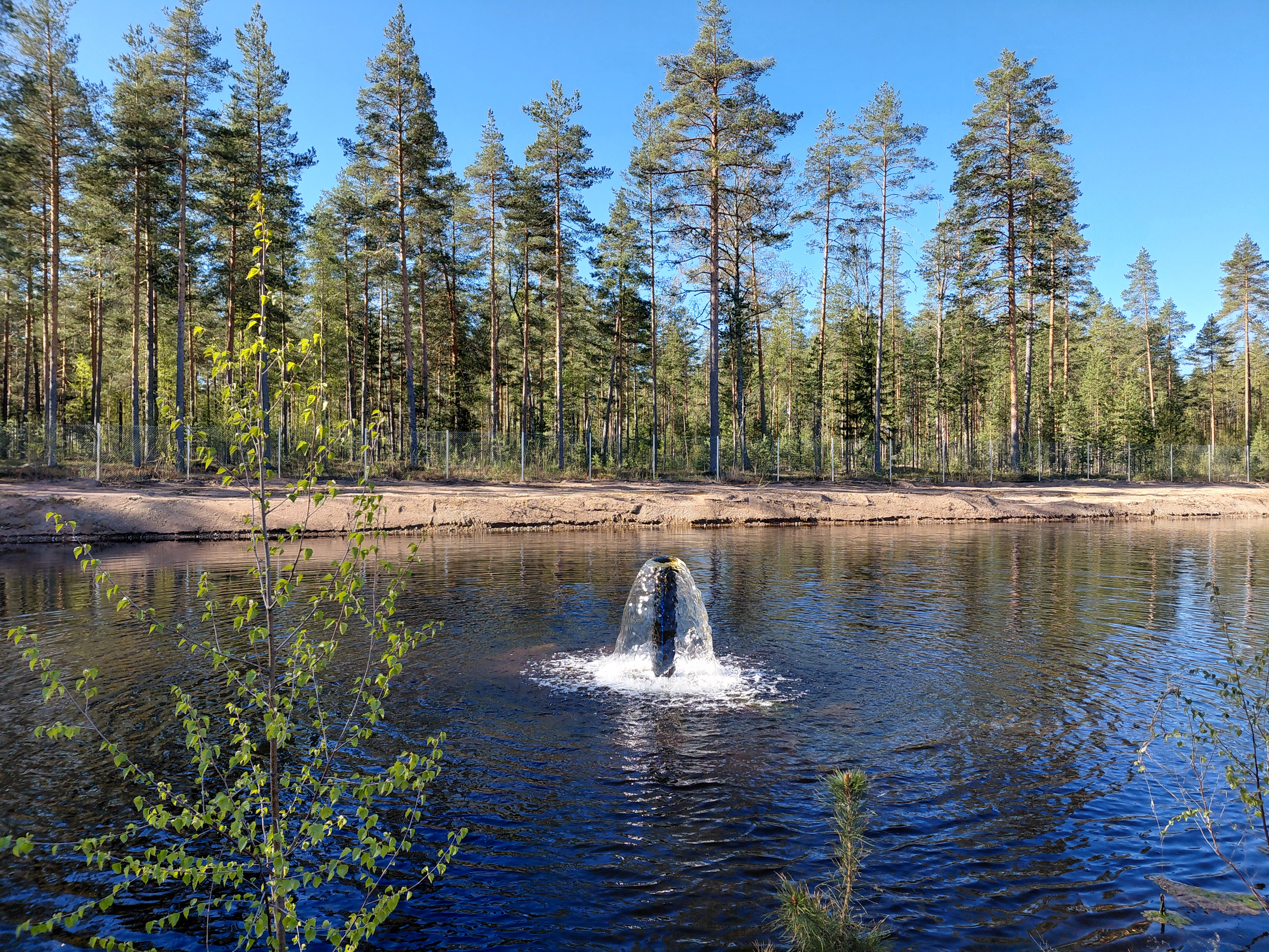Vesialtaassa olevasta putkesta pulppuaa vettä altaan ympärillä on hiekkaa ja havupuita