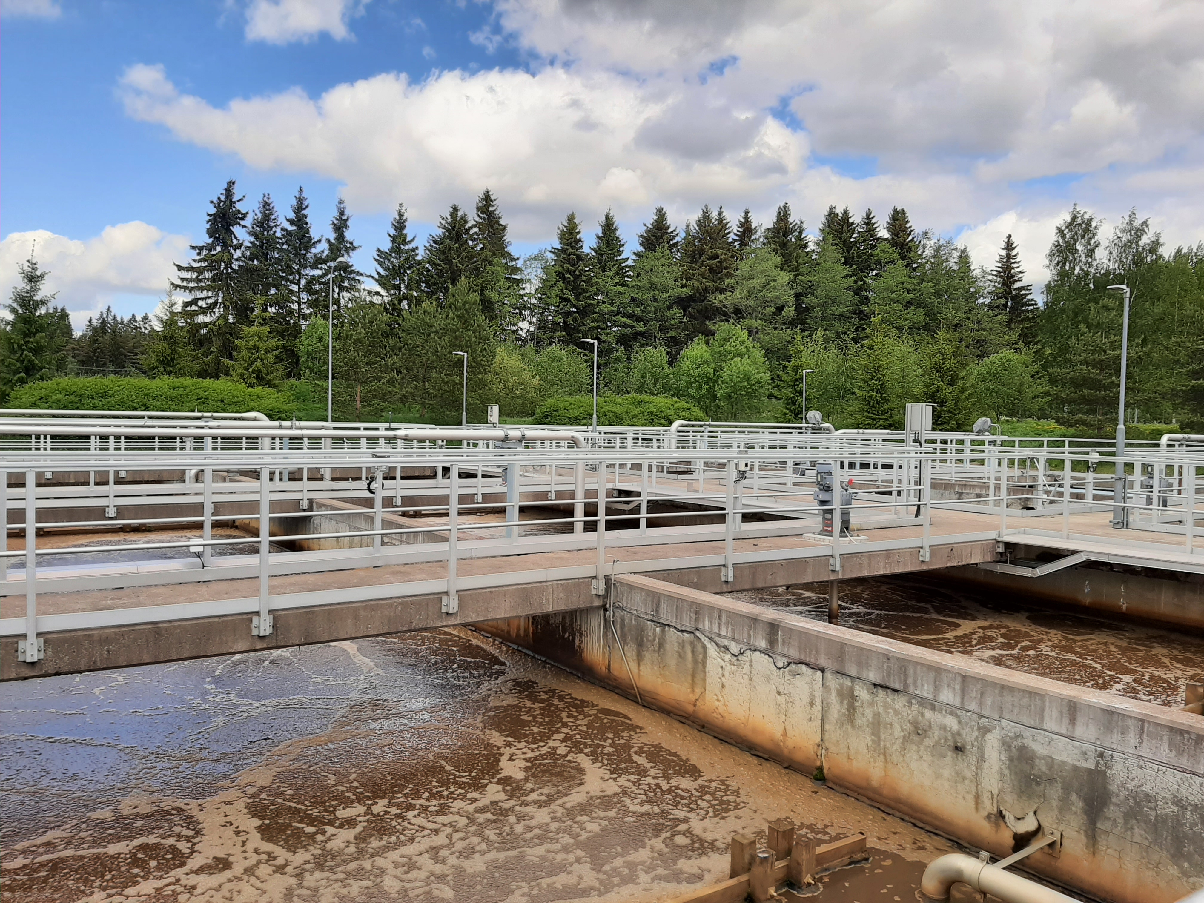 Mäkikylän jätevedenpuhdistamon ilmastusaltaat jossa näkyy kuplivaa ruskeaa jätevettä kesällä, kuvan taustalla näkyy vihreää metsää.