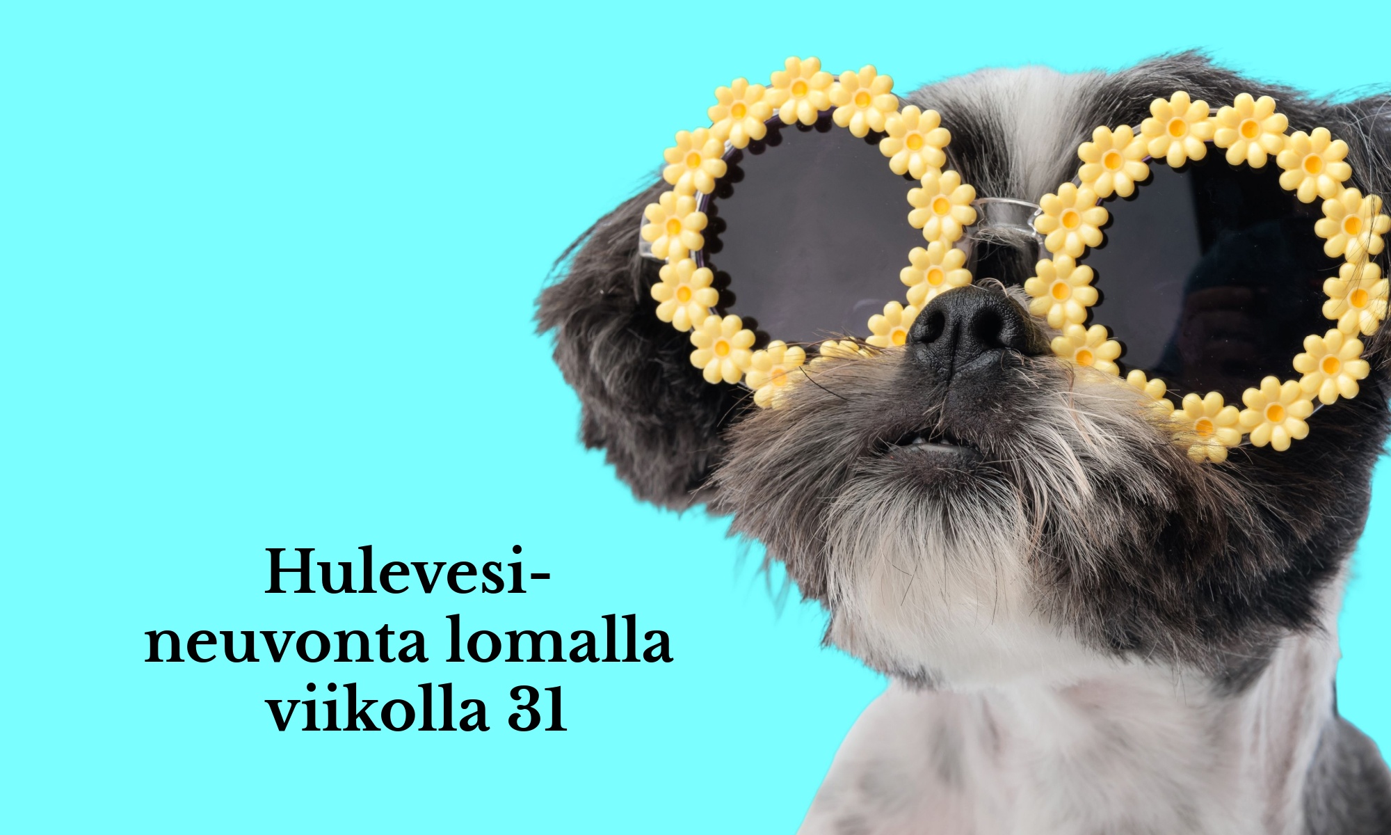 Huleveden neuvontapalvelun kesän 2026 aukioloajat
